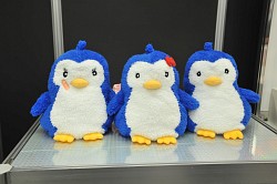 ꡼ No.219 | ȥޤβ女ܤʤɡܥƥब³о졣ǿץ饤¤28 ץ饤եץեȥݡ