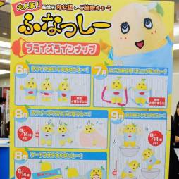 ꡼ No.238 | ֥ԡפ֥åפΥեҤפޤǡܤʥ饯¤32ץ饤եץեȥݡ