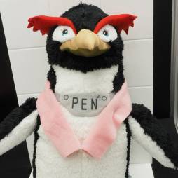 ꡼ No.054 | ե奢饰åޤǥ¤34ץ饤եפեȥݡȡֿʷε͡פִϤ׿͵ߤޤʤ