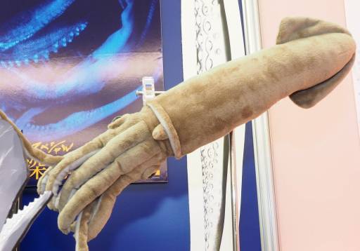 ꡼ No.163 | ե奢饰åޤǥ¤34ץ饤եפեȥݡȡֿʷε͡פִϤ׿͵ߤޤʤ