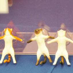 ꡼ No.210 | ե奢饰åޤǥ¤34ץ饤եפեȥݡȡֿʷε͡פִϤ׿͵ߤޤʤ