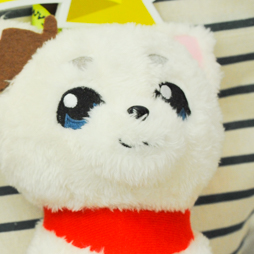 ������#072�Υ���ͥ���/�Ƥν����˿���ե����奢����˭�ǯ�����о�ο���å�����·����������37��ץ饤���ե����ץե��ȥ�ݡ���