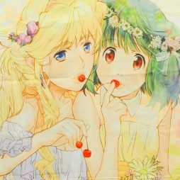 ������#084�Υ���ͥ���/�Ƥν����˿���ե����奢����˭�ǯ�����о�ο���å�����·����������37��ץ饤���ե����ץե��ȥ�ݡ���