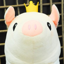 ������#109�Υ���ͥ���/�Ƥν����˿���ե����奢����˭�ǯ�����о�ο���å�����·����������37��ץ饤���ե����ץե��ȥ�ݡ���