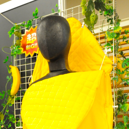 ������#253�Υ���ͥ���/�Ƥν����˿���ե����奢����˭�ǯ�����о�ο���å�����·����������37��ץ饤���ե����ץե��ȥ�ݡ���