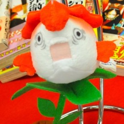 ������#267�Υ���ͥ���/�Ƥν����˿���ե����奢����˭�ǯ�����о�ο���å�����·����������37��ץ饤���ե����ץե��ȥ�ݡ���