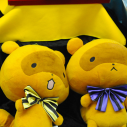 ������#281�Υ���ͥ���/�Ƥν����˿���ե����奢����˭�ǯ�����о�ο���å�����·����������37��ץ饤���ե����ץե��ȥ�ݡ���