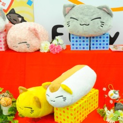 ������#340�Υ���ͥ���/�Ƥν����˿���ե����奢����˭�ǯ�����о�ο���å�����·����������37��ץ饤���ե����ץե��ȥ�ݡ���