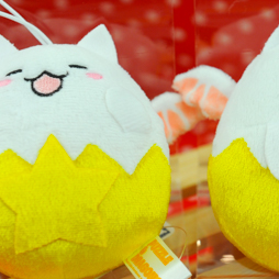 ������#355�Υ���ͥ���/�Ƥν����˿���ե����奢����˭�ǯ�����о�ο���å�����·����������37��ץ饤���ե����ץե��ȥ�ݡ���