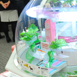 ������#381�Υ���ͥ���/�Ƥν����˿���ե����奢����˭�ǯ�����о�ο���å�����·����������37��ץ饤���ե����ץե��ȥ�ݡ���