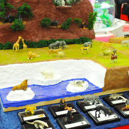 ������#382�Υ���ͥ���/�Ƥν����˿���ե����奢����˭�ǯ�����о�ο���å�����·����������37��ץ饤���ե����ץե��ȥ�ݡ���