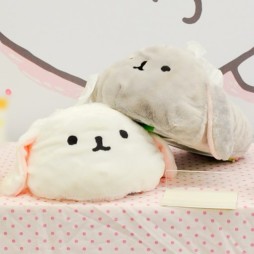 ������#387�Υ���ͥ���/�Ƥν����˿���ե����奢����˭�ǯ�����о�ο���å�����·����������37��ץ饤���ե����ץե��ȥ�ݡ���