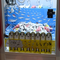 ꡼ No.283 | оΥץ饤ƥब·緿ե奢ե󥷡ϤޤǼ·줿39ץ饤եץݡ