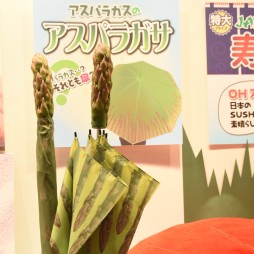 ꡼ No.366 | оΥץ饤ƥब·緿ե奢ե󥷡ϤޤǼ·줿39ץ饤եץݡ