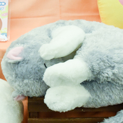 ꡼ No.143 | оΥץ饤ʤ·緿ե奢⥺¤40 ץ饤եץݡ