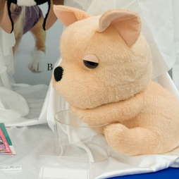 ꡼ No.304 | оΥץ饤ʤ·緿ե奢⥺¤40 ץ饤եץݡ