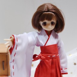 ꡼ No.213 | ե奢˥ɡ롤Ϥ줫饴ȥХޤǡ⤷å򲡤ä43ץ饤եץݡ