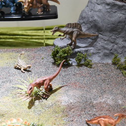 ꡼ No.109 | ॻ󥿡̤ץ饤ꡣ51ץ饤եץեȥݡ