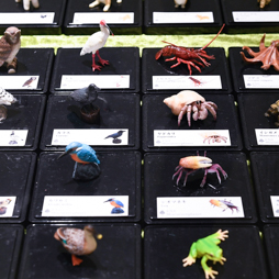 ꡼ No.110 | ॻ󥿡̤ץ饤ꡣ51ץ饤եץեȥݡ