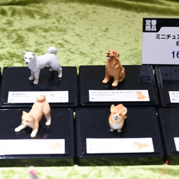 ꡼ No.111 | ॻ󥿡̤ץ饤ꡣ51ץ饤եץեȥݡ