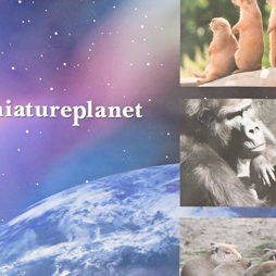 ꡼ No.134 | ॻ󥿡̤ץ饤ꡣ51ץ饤եץեȥݡ