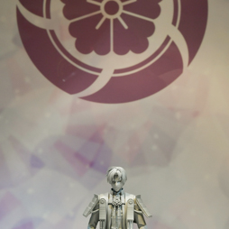 ꡼ No.137 | ॻ󥿡̤ץ饤ꡣ51ץ饤եץեȥݡ