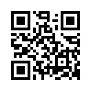 ꡼ No.014 | Ĥ˰Ϥޤƹʡ֥ԥ奦פΥե奢ʤɤץ饤о