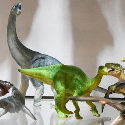 ꡼ No.012 | 55ץ饤եץեȥݡȡʤ2ˡ׷Ϥ䥲७餬·ΥХץ쥹/ȡ/֡Ҳ