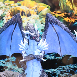 ꡼ No.113 | Υե奢򲡤Ρ57ץ饤եץեȥݡȡʤ2ˡBANDAI SPIRITS/ȡ/