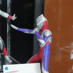 ꡼ No.342 | 68ץ饤եץեȥݡȡ٤ѲʤɤΥե奢䥰å³о