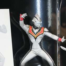 ꡼ No.343 | 68ץ饤եץեȥݡȡ٤ѲʤɤΥե奢䥰å³о