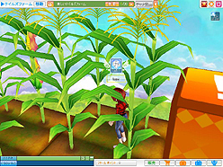 画像ギャラリー No.003のサムネイル画像 / コミュニティゲーム「Tales Land」のCBTで,アイテムや第2期サポーターズ参加優先権などを獲得できるキャンペーンが実施中。テスターも追加募集中