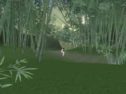 ꡼ No.005 | NineTailOnlineʪ쳰ݡסƥġ֥סĴ祷ƥס֤ᥤ٥ȥƥפ