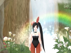 ���������꡼ No.004�Υ���ͥ������ / ��NineTail�ס������󥸥����������פκ�׼�������ʡ�ޡ������