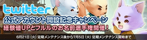 画像ギャラリー No.001のサムネイル画像 / 「NineTailOnline」公式Twitterが開始に。フォロワー数に応じて経験値Up