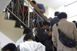 ꡼ No.007Υͥ / Projectɥ󥸳ڶʤä֥ߥ塼å󥬥2Źޥ٥ȡκǽɼԥץ쥼Ѥ˸CD򥲥åȤƤ