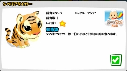 ꡼ No.021 | ƤܤΥ륲ԾϡɤʤȤˤʤäƤΤå桼COO μʹ