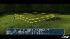 ꡼ No.022 | ̵Υܥ塼ǽ꤬ʤ󥿡ͥåȥޥ⡼ɤ꿻֥ե󥿥ݡ֥2 ե˥ƥפΥӥ塼Ǻ