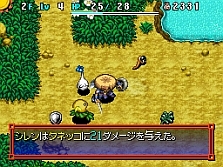 ꡼ No.034 | NDSԻ׵ĤΥ󥸥 Υ5 ե󥿥ȱ̿ΥסȤư󥽥եȤ2010ǯ12ȯ