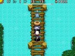 ꡼ No.005 | Ի׵ĤΥ󥸥 Υ5 ե󥿥ȱ̿Υ׸Ȥǡפ֤ˤʤ֥פξҲ