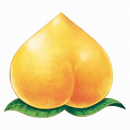 ꡼ No.006Υͥ / Ի׵ĤΥ󥸥 Υ5 ե󥿥ȱ̿Υ׸Ȥˤơ2ܤοʥץ쥤ư褬