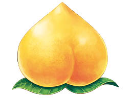 ꡼ No.022 | Υ5ץޥץ쥤Ǥϥ꡼ܳŪʡֶϥץ쥤פǽ