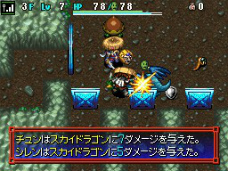 ꡼ No.006Υͥ / Υ5סֶ˸æ 999ס֤Ӥפ3ȥ뤬󥻥쥯ȤƳ2480ߡǹˤȯ