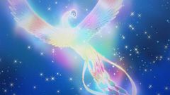 ꡼ No.004Υͥ / ܻؤ쥹ȥפ˼ͼֲФĻץƥबָо