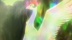 ꡼ No.005Υͥ / ܻؤ쥹ȥפ˼ͼֲФĻץƥबָо