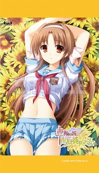 ���������꡼ No.001�Υ���ͥ������ / �ּ��ؤι�ס����ڥ��ȥ�ʤɤ�������ȯ�䵭ǰ�����񤬳���