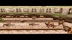 ꡼ No.009 | TOKYO JUNGLEספ֤ξںޥ⥹ޤǤΤޤޤưʪĤ򤫤3ĤΥ⡼ɤ