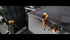 ꡼ No.023 | TOKYO JUNGLEספ֤ξںޥ⥹ޤǤΤޤޤưʪĤ򤫤3ĤΥ⡼ɤ