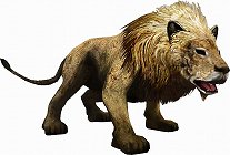 ꡼ No.002Υͥ / ƤȤϤ줿²饤α̿ϤˡTOKYO JUNGLEפβʴĶưʪãΥȡ꡼Ҳ