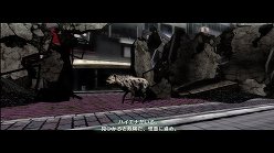 ꡼ No.005Υͥ / ƤȤϤ줿²饤α̿ϤˡTOKYO JUNGLEפβʴĶưʪãΥȡ꡼Ҳ